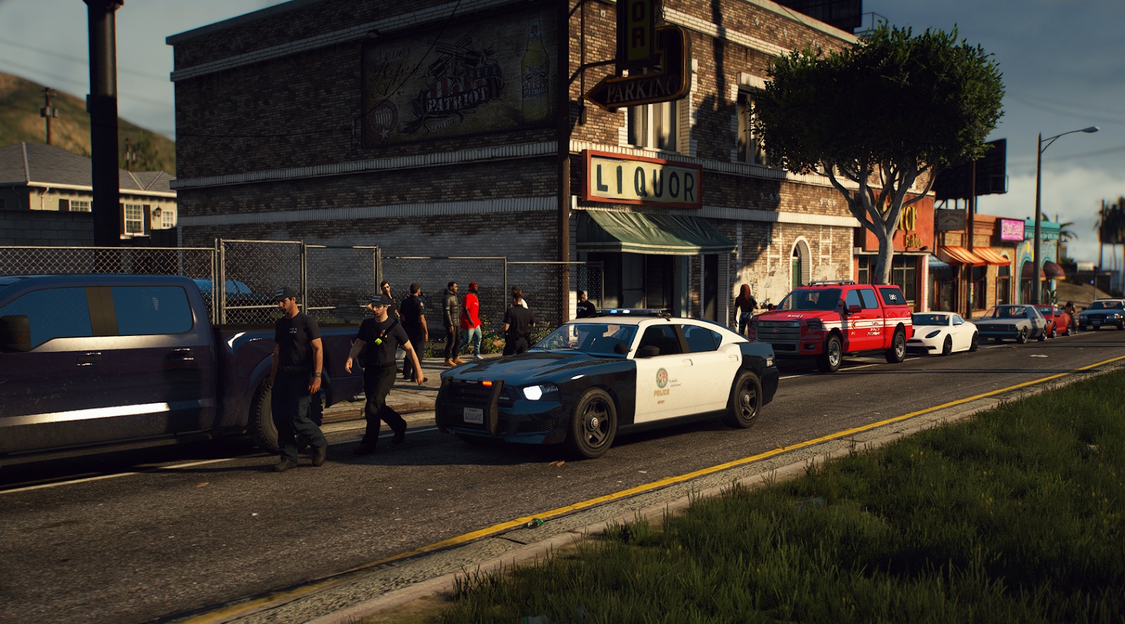Sisteme custom - Politie romana